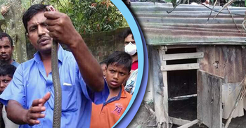 মুরগির ঘরে হাত দিতেই কামড়ে দিল সাপ, গৃহবধূর মৃত্যু