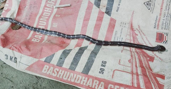 স্ত্রী কন্যার পর এবার সাপের কামড়ে কৃষকের মৃত্যু