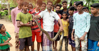 শ্রীমঙ্গলে ৭ ফুট দৈর্ঘ্যের অজগর উদ্ধার