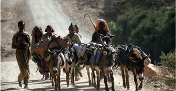 100 killed in border clashes between Ethiopia’s Somali and Afar regions