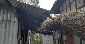 শরীয়তপুরে কালবৈশাখীর তাণ্ডবে মাঝির মৃত্যু, ব্যাপক ক্ষয়ক্ষতি