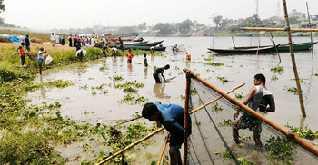 শীতলক্ষ্যার দূষণে ভেসে উঠছে মাছ