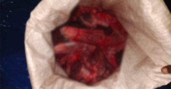 সুন্দরবনে নৌকা থেকে ৩০ কেজি হরিণের মাংস উদ্ধার