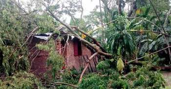 বুলবুলের তাণ্ডবে ৯ জনের মৃত্যু গাছচাপায়