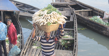 সুনামগঞ্জে শীতকালীন সবজির ভালো ফলনেও কৃষকের মুখ মলিন