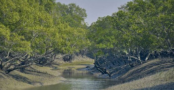 খুলছে সুন্দরবনের সব পর্যটনকেন্দ্র