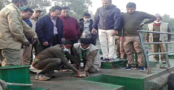 বঙ্গবন্ধুর জন্মশতবার্ষিকী উপলক্ষে সুন্দরবনে ছাড়া হলো ৩টি কুমির