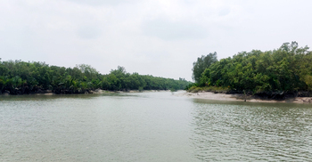 সুন্দরবনে বাঘ গণনায় স্থাপিত আট ক্যামেরা গায়েব