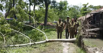 Amphan damages Sundarbans infrastructures, trees worth Tk 1.67 cr