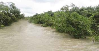 সুন্দরবন যেন মায়ের আঁচল