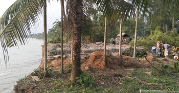 টাঙ্গাইলে যমুনার ভাঙনে কয়েকশ ঘরবাড়ি বিলীন