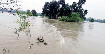 পাউবোর গাফিলতিতে বাঁধ ভেঙে লক্ষাধিক মানুষ পানিবন্দি