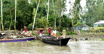 ভাঙন তাণ্ডবে দিশেহারা যমুনা পাড়ের মানুষ