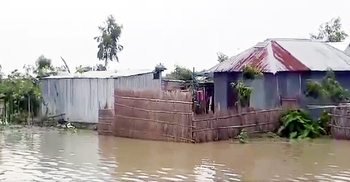 টাঙ্গাইলে সব নদীর পানি বৃদ্ধি, অর্ধশত গ্রাম প্লাবিত