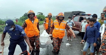 Five killed in ambulance-pickup van collision