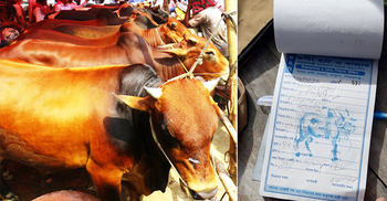 ৪০ টাকার হাসিল ৩০০ টাকা