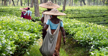 50 million people trapped in modern slavery, report finds