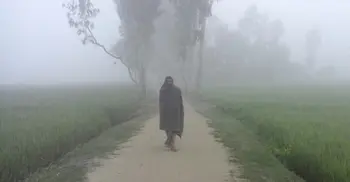 বদলগাছীতে মৌসুমের সর্বনিম্ন তাপমাত্রা রেকর্ড