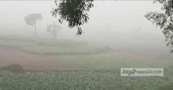 Temperature in Tetulia dips to 8C