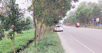 হাত বাড়িয়ে ডাকছে তেঁতুলিয়া