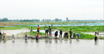 বুড়ির বাঁধে মাছ ধরতে মানুষের ঢল