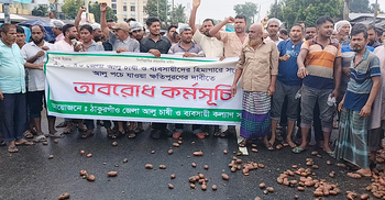 মহাসড়কে পচা আলু ঢেলে কৃষকদের আন্দোলন