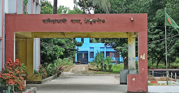 শ্বশুরবাড়ি থেকে জামাইয়ের ঝুলন্ত মরদেহ উদ্ধার