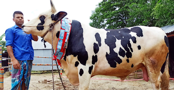 ২৫ মণের টাইগার নিয়ে দুশ্চিন্তায় মালিক