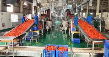 PRAN sets to procure 12,000 metric tons of tomatos