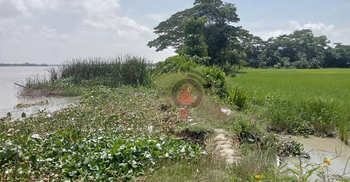 ঝালকাঠিতে সাড়ে ১১ কিলোমিটার বেড়িবাঁধ ভাঙন ঝুঁকিতে