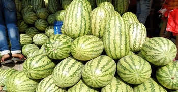 নাটোরে কেজি দরে তরমুজ বিক্রি বন্ধের নির্দেশ