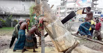 হারিয়ে যেতে বসেছে করাতি পেশা