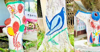 গাছের চিত্রকর্মে রংধনুর সাত রং