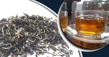 শ্রীমঙ্গলে এক কেজি ‘ইয়েলো টি’ বিক্রি হলো ১২২০০ টাকায়