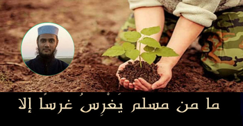 ইসলামের আলোকে বৃক্ষরোপণের ফজিলত