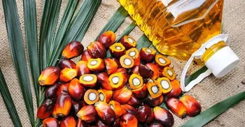 Indonesia to lift palm oil export ban from Monday: President