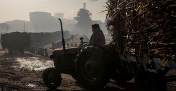 India plans to restrict sugar exports