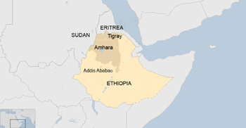Sudden arrest of 4,000 spells fear in Ethiopia