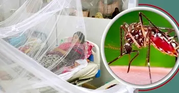 22 more hospitalized with dengue fever in 24 hrs