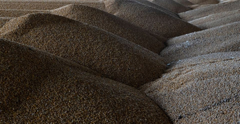 Turkey says four more grain ships leave Ukrainian ports