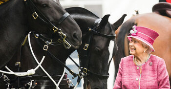 রানি এলিজাবেথের ১৪টি ঘোড়া বিক্রি করে দিচ্ছেন রাজা চার্লস