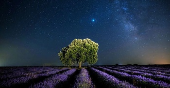 The billionaires seeking salvation