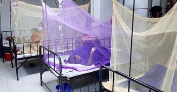 183 more hospitalized with dengue fever in 24 hrs