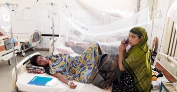 183 more hospitalized with dengue fever in 24 hrs