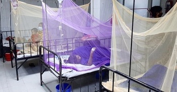 151 more hospitalized with dengue fever in 24 hrs