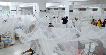 Another dies of dengue fever in 24 hrs
