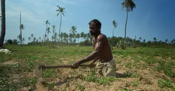 Sri Lanka's crisis pushes war-shattered Tamils to the brink