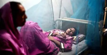 One dengue patient dies; 1,034 hospitalized in 24 hrs