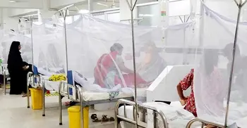 Five dengue patients die; 440 hospitalized in 24 hrs