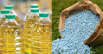 Govt to procure 80,000 MTs fertilizer, 2.20cr litres soybean oil